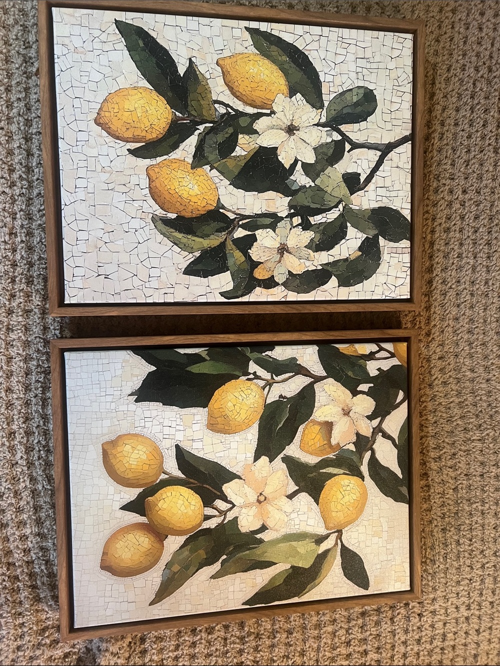 Set of 2 Lemon Branch Wall Art Prints - Yellow & Green